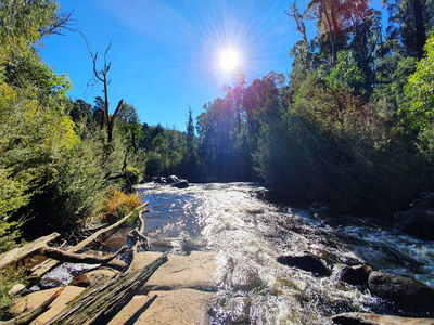 Murrindindi Cascades