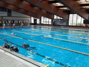 Piscina di Belluno