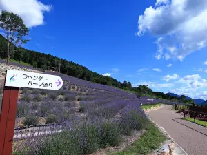 Lavender Park Taka