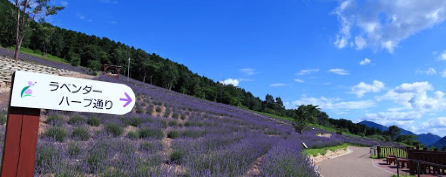 Lavender Park Taka