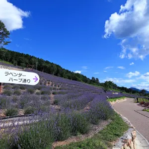 ラベンダーパーク多可