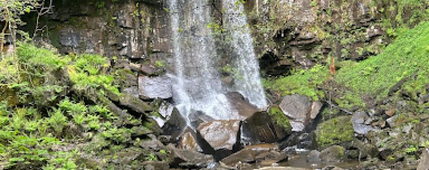 Melincourt Falls