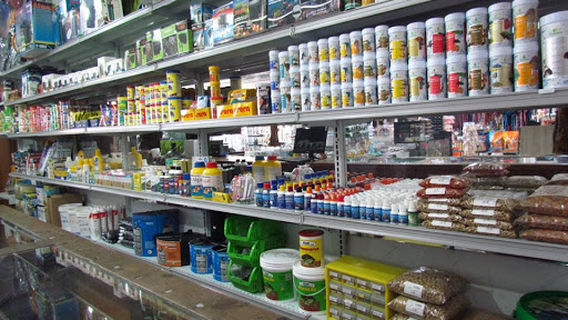 House of Feed - Fish and Aquariums