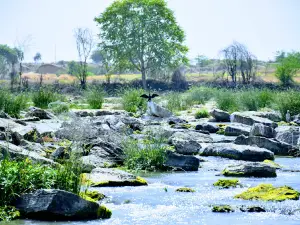 Handi Pali Mahadev Mandir ,HARIPURA