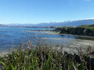 Kaikoura Peninsula
