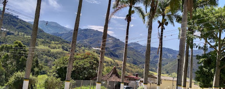 - Surata Main Park