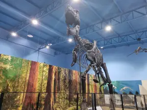 Projeto Selva Viva - Zoológico de Taubaté