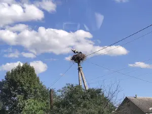 Памятник Танк ИС-3