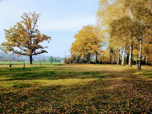 Pichlinger See