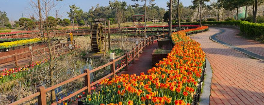 Sinan Tulip Festival
