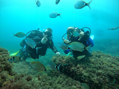 El kantaoui diving center