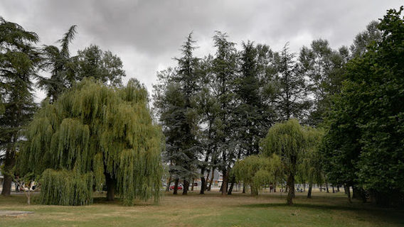 Villarcayo