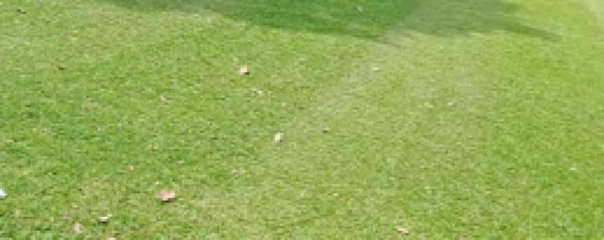 Lapangan Sepak Bola