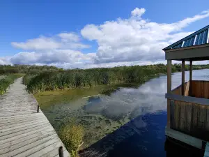 Grassy Narrows Marsh