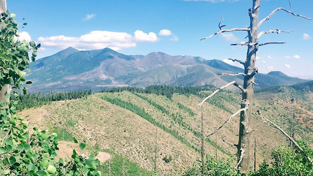Mt Elden Lookout Trail