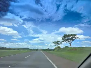 Parque da Saúde - Sud Mennucci