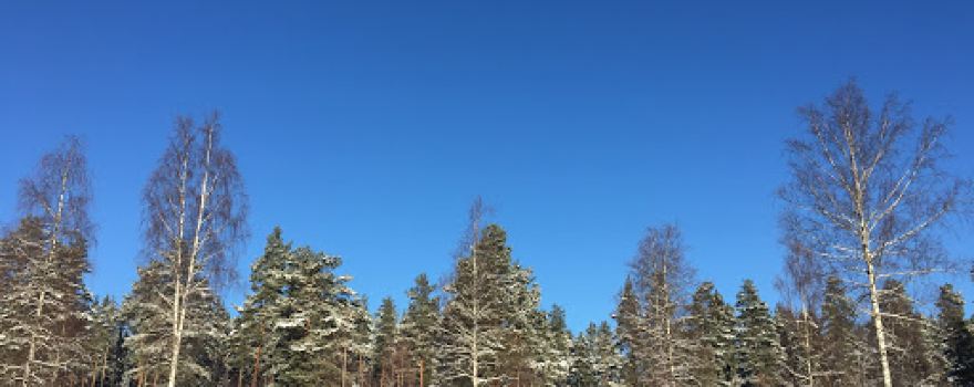 Malingsbo Camping