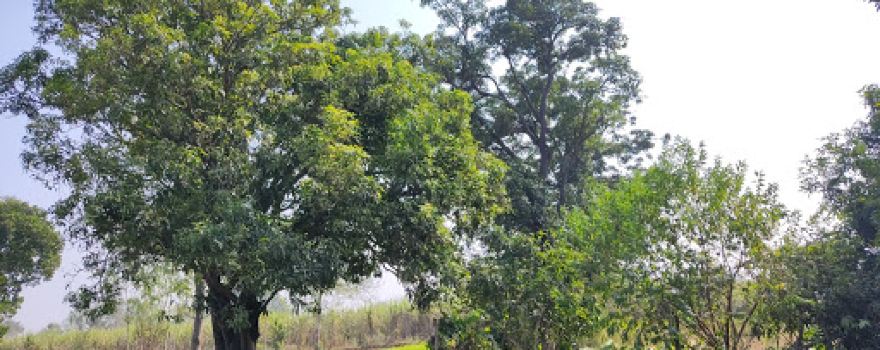 Crop Production Center.(HC park)