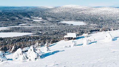 Santa's Cabin
