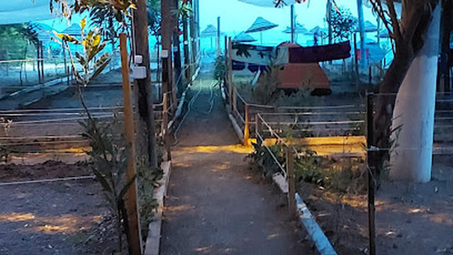 fethiye çadır kamp alanı - my beach