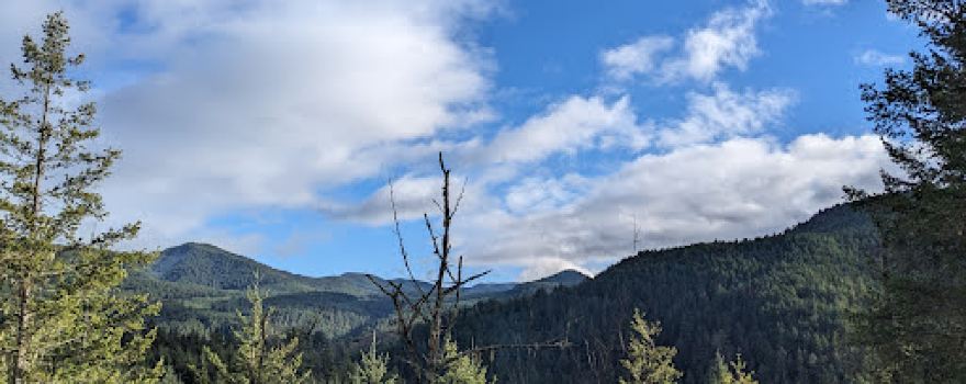 Lower Gray Wolf Trailhead