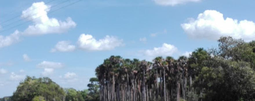 Villa Adriana Park