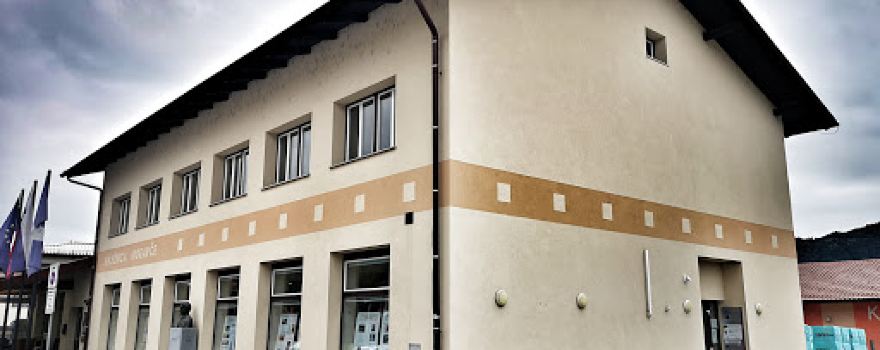 Knjižnica Daneta Zajca