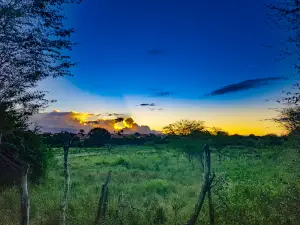Boninal Bahia