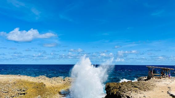 Boka Wandomi