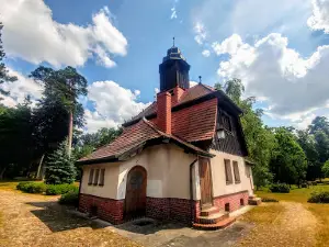 Pałac Raczyńskich, Zielonagóra
