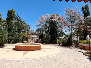 Ajuterique Central Park