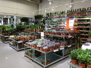 Plantasjen