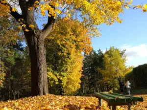 Бознянский городской парк