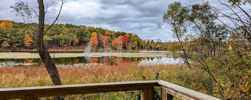 Mattawan Park