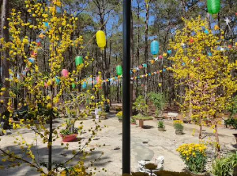 Chùa Phước Thành, thị trấn Đak Tô