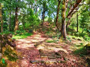 Chiuluan Raenggaan