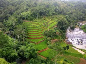 Wisata Alam Panorama Cikondang