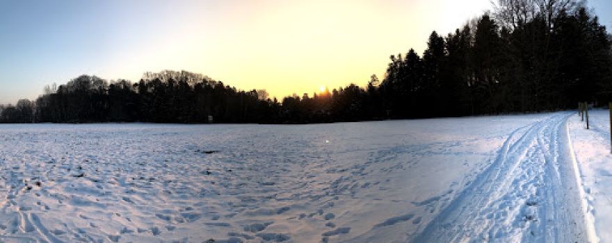 Grunbach Birkenhof campsite