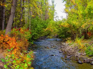 Squirrel Creek State Recreational Site