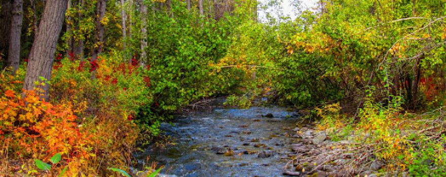 Squirrel Creek State Recreational Site