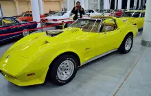 Автомузей Ника Панули