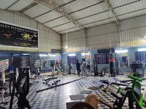 Alex Fitness Factory
