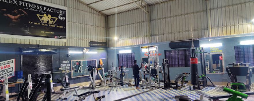 Alex Fitness Factory