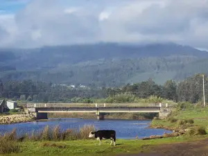 Estadio Municipal de Pelluhue