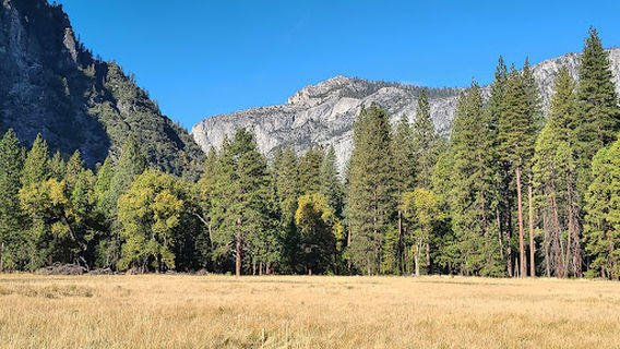 Lower Pines Campground