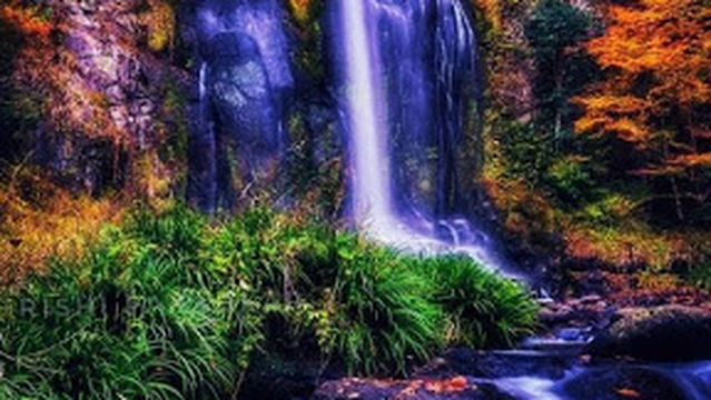 City Equestrian Games