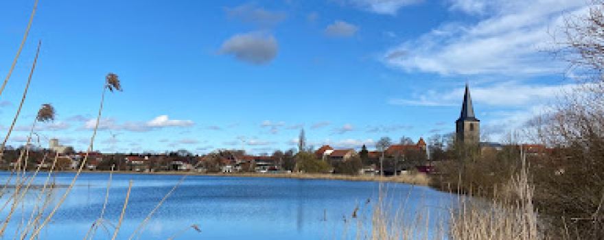 See Seehausen