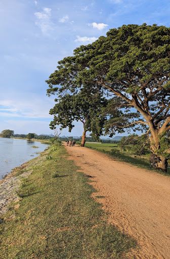 Compare 5 airports near Wirawila