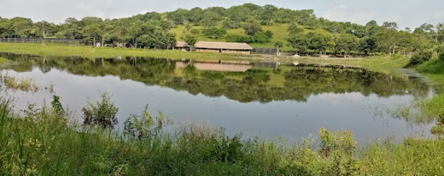 Presa El Millón