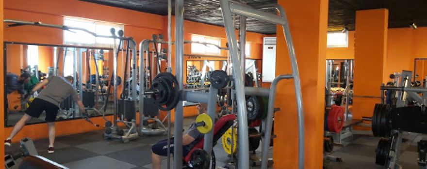 Gold Gym